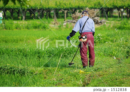 生い茂る雑草の草刈り作業 1512838