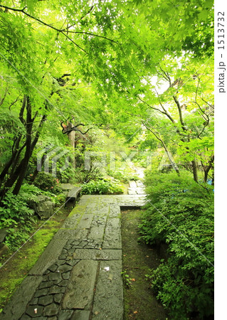 オープンガーデン 1513732