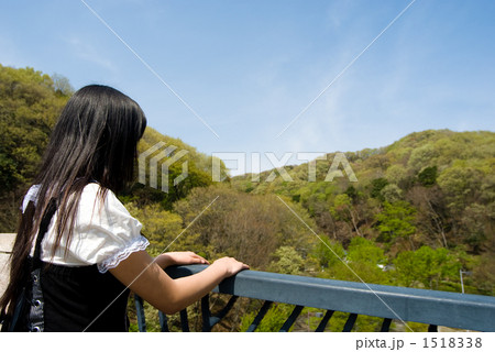 森を眺める 1518338