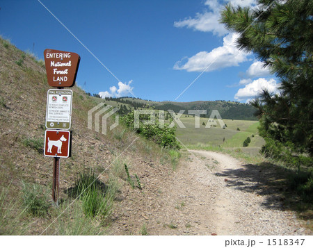 マウント・センティネルのハイキングトレイルから マウント・センティネルのハイキングトレイルから 1518347