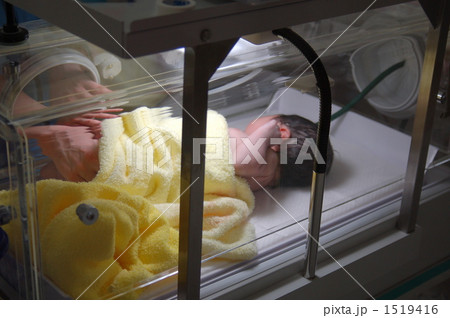 保育器の中の新生児 保育器の中の新生児 1519416