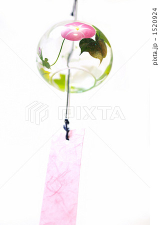 夏は風鈴の音に耳をすませ。 夏は風鈴の音に耳をすませ。 1520924