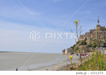 草花とモンサンミッシェル 1521373