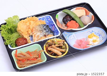 宅配治療食 1522357