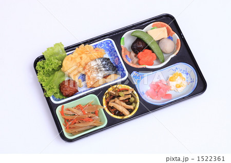 宅配治療食 1522361