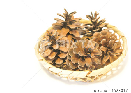 松ぼっくり 1523017