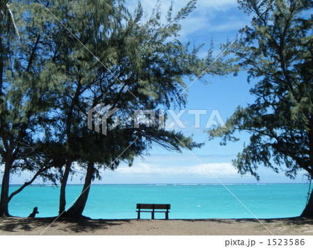 ハワイ州オアフ島ワイマナロのベローズビーチのベンチ 1 1523586