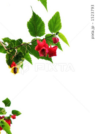 赤いランプ 1523793