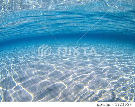 揺られながら 1523957