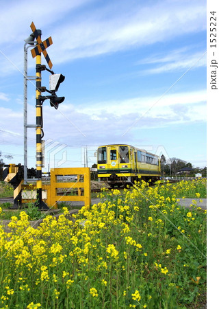 いすみ鉄道新田野駅 いすみ鉄道新田野駅 1525224