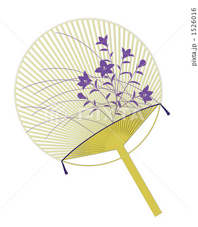 江戸団扇03 桔梗2のイラスト素材