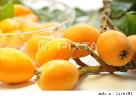 ビワ ビワ 1526891