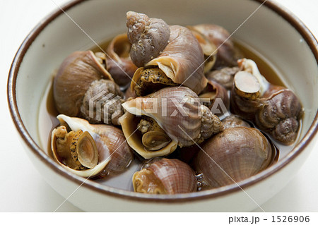 いそつぶ貝煮付け いそつぶ貝煮付け 1526906