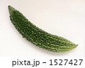 ゴーヤー 1527427