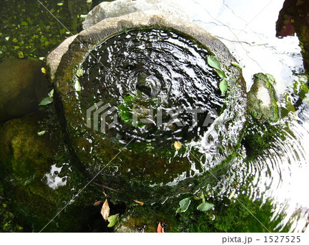 まつもと城下町湧水群　槻井泉神社 1527525