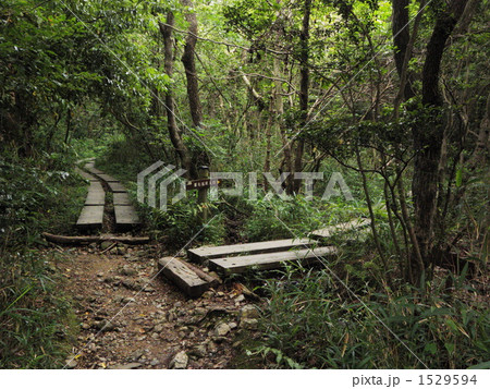 葦毛湿原の入り口 1529594