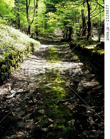 幸福の谷 1529877