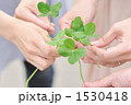 みんなで集めた四葉のクローバー 1530418