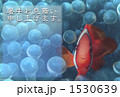 暑中お見舞い申し上げます。 1530639