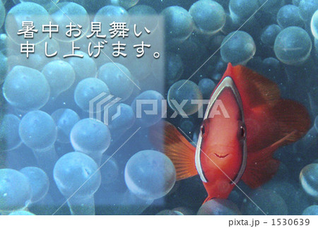 暑中お見舞い申し上げます。 1530639