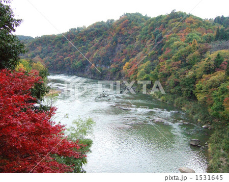 紅葉と阿武隈川 紅葉と阿武隈川 1531645