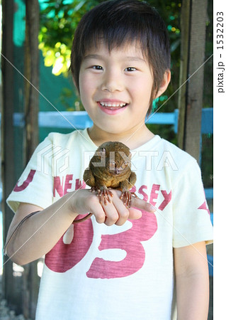 世界最小手乗り猿「ターシャ」 世界最小手乗り猿「ターシャ」 1532203