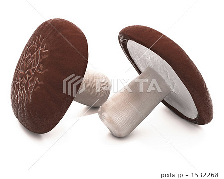 シイタケ 1532268