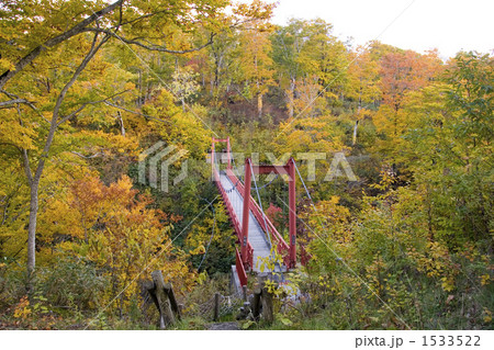 紅葉の中の赤い橋 1533522