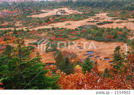 紅葉の下毛無岱湿原 1534002