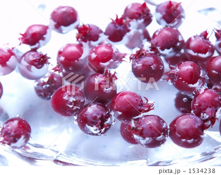 水に浮かぶベリー 1534238