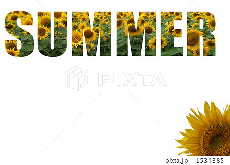 SUMMER_向日葵 1534385