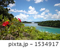 川平湾 1534917