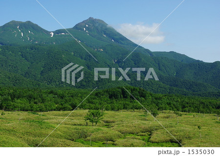 原生林と羅臼岳 1535030