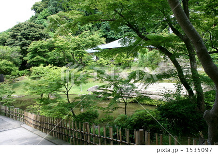 新緑に包まれた妙香池を訪れて 新緑に包まれた妙香池を訪れて 1535097