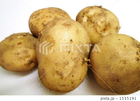 採りたてじゃがいも 1535191