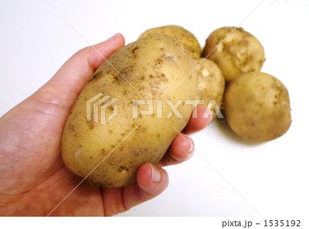 採りたてじゃがいも 1535192