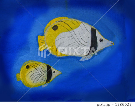 熱帯のお魚 1536025