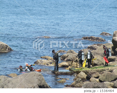 スキューバーダイビング 1536464
