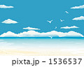 真夏イメージ-02■青空/海/雲/カモメ 1536537