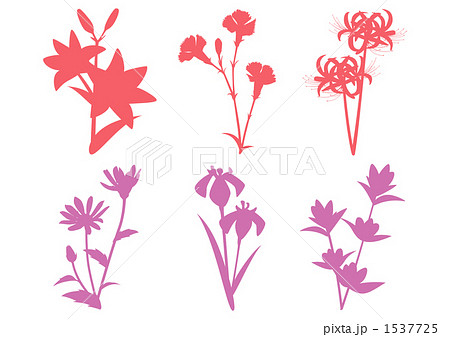 和の花 ユリなど 赤 紫 のイラスト素材