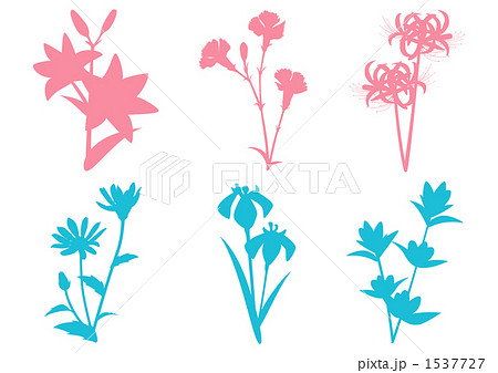 和の花 ユリなど 桃色 水色 のイラスト素材