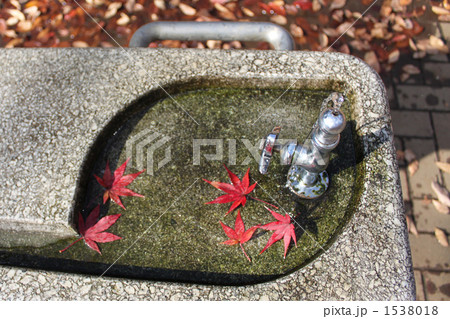 秋の公園：水飲み場03 1538018