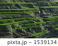 雲のごとく 1539134