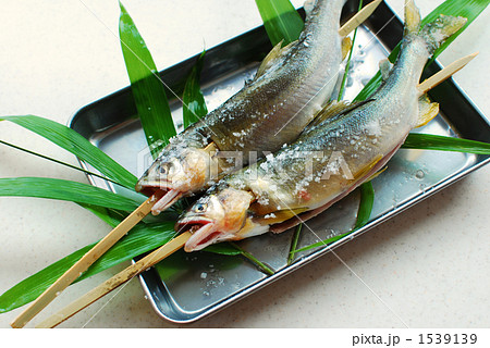 鮎串刺し 1539139