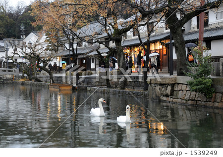 雨の倉敷美観地区 1539249