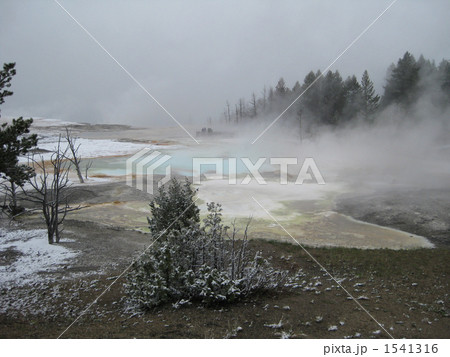 イエローストーン国立公園 1541316