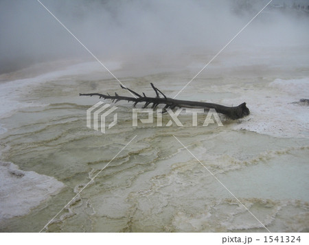 イエローストーン国立公園 1541324