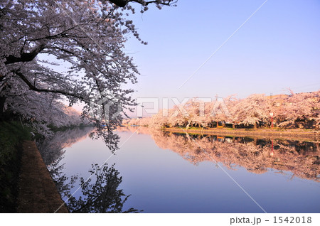 早朝の水鏡 早朝の水鏡 1542018