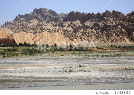 紅山石林 1542339