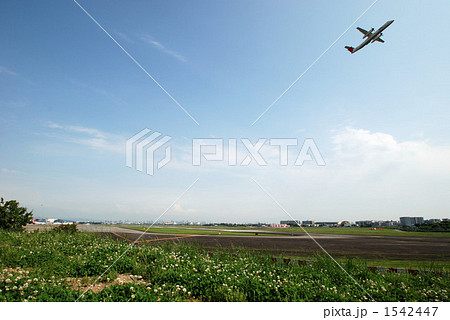 急上昇！ 1542447